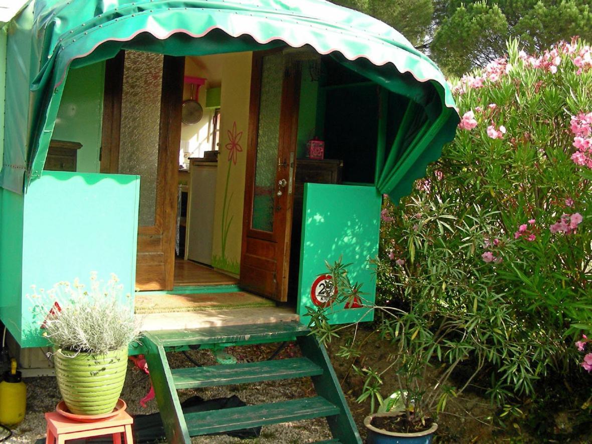 L'Amandari - Chambres D'Hotes Le Plan-de-la-Tour Ngoại thất bức ảnh